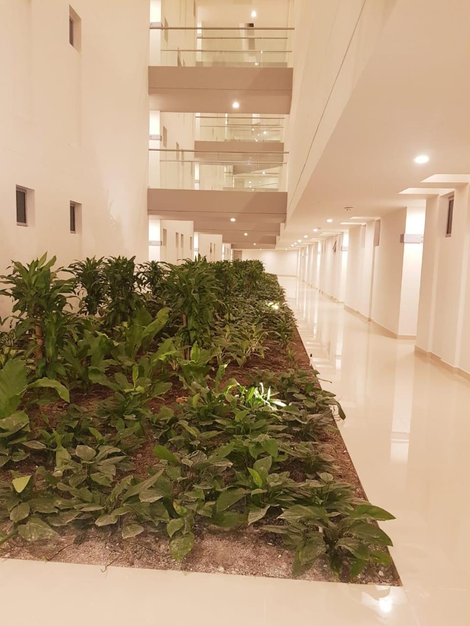 Hermoso En Cartagena-morros Eco- Vista Al Mar- Salida Directa A La Playa Apartment Cartagena